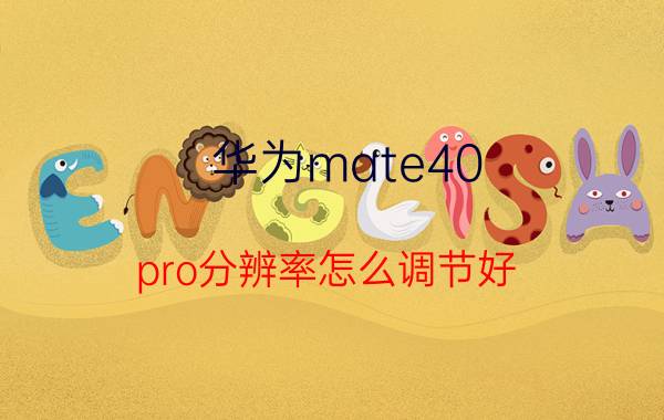 华为mate40 pro分辨率怎么调节好